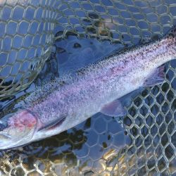 高原の管理釣り場で夏のトラウト ～平谷湖フィッシングスポット～